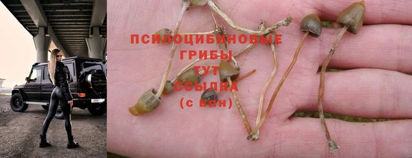 винт Слюдянка